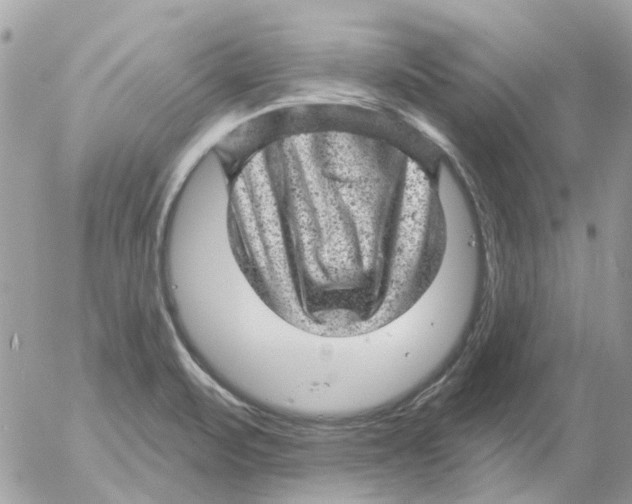 X0000052571471200507291954