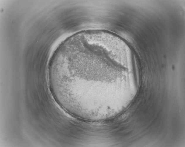 X0000052571472200507291954