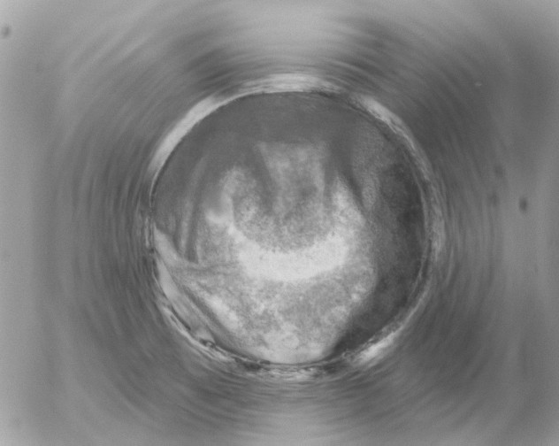 X0000052571473200507291954