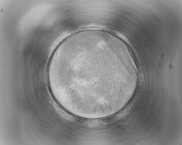 X0000052571474200507291954