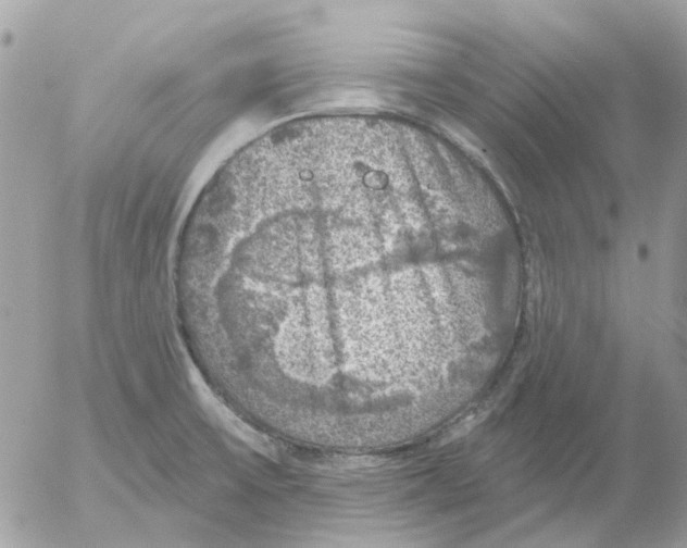 X0000052571475200507291954