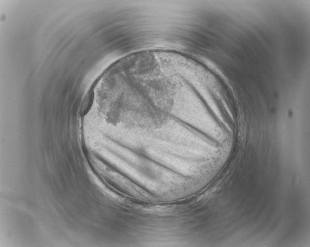 X0000052571476200507291954