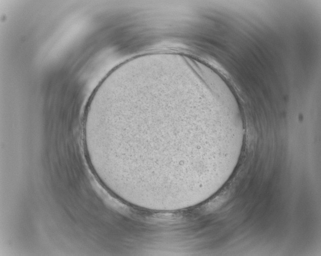 X0000052571478200507291954