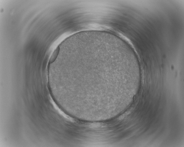 X0000052571479200507291954