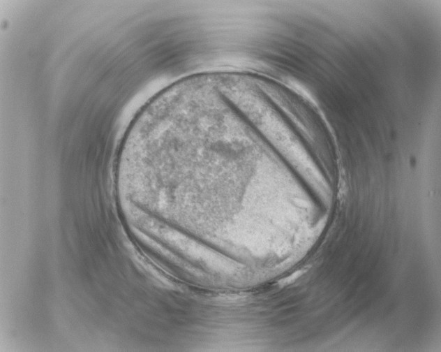 X0000052571480200507291954