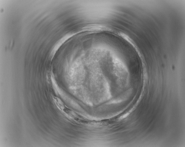 X0000052571481200507291954