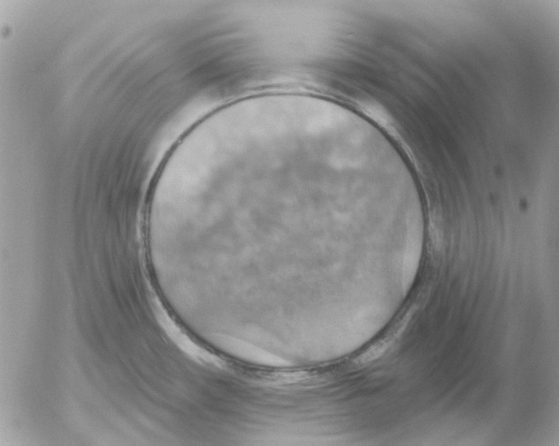 X0000052571482200507291954