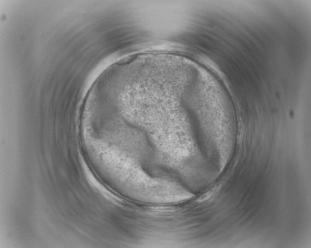 X0000052571483200507291954