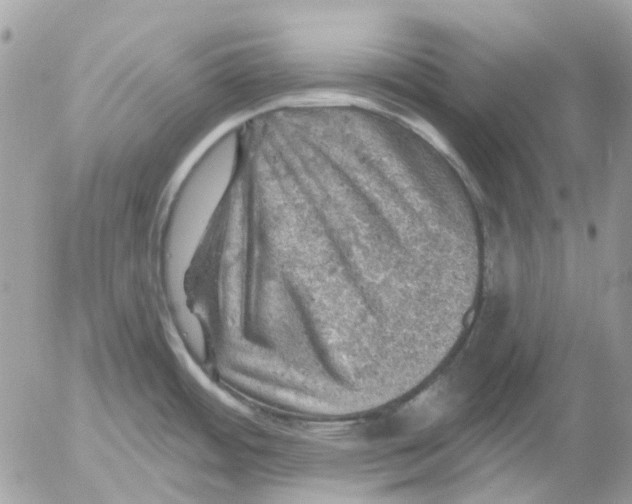 X0000052571484200507291954