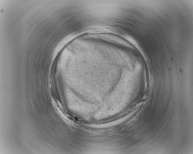 X0000052571485200507291954