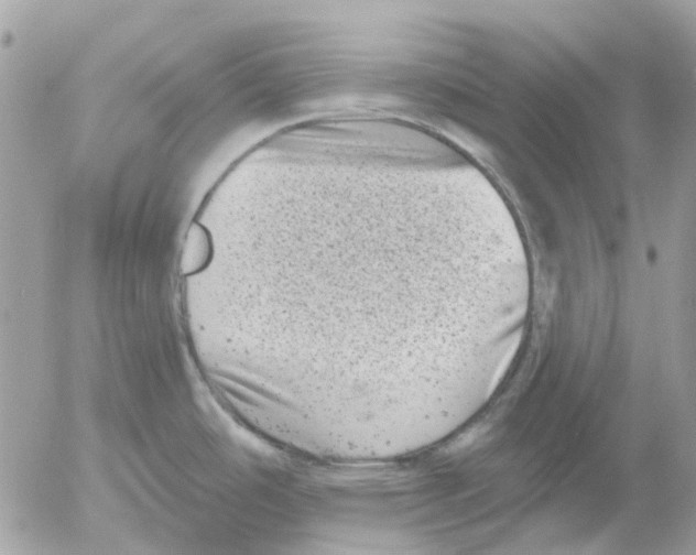 X0000052571486200507291954