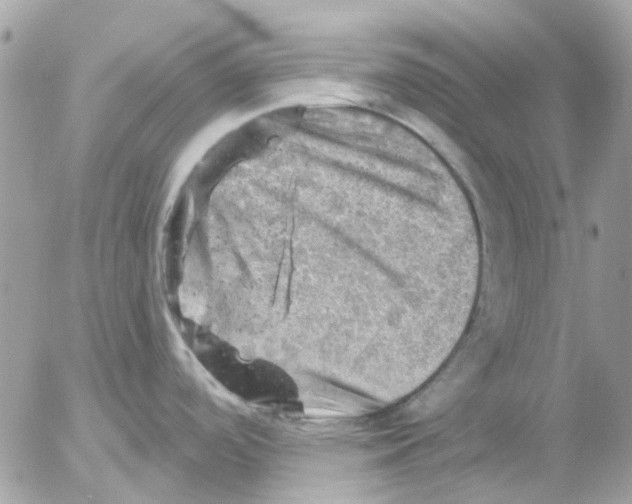 X0000052571488200507291954