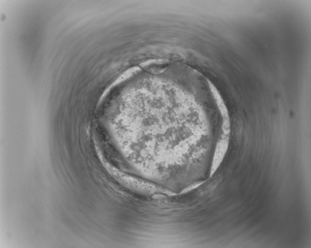 X0000052571489200507291953