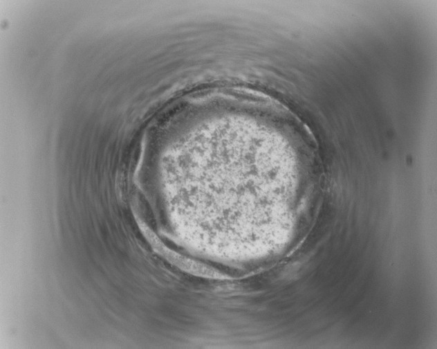 X0000052571490200507291953