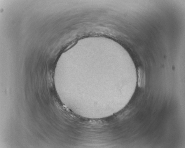 X0000052571491200507291953