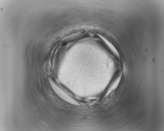 X0000052571492200507291953