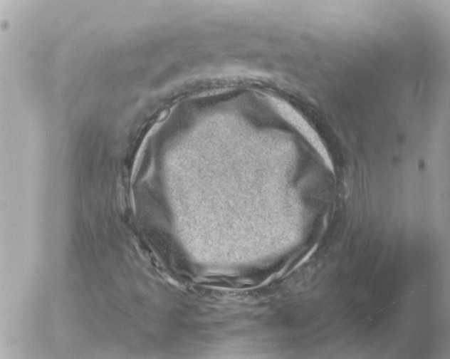 X0000052571493200507291953