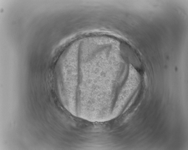 X0000052571494200507291953