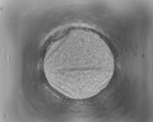 X0000052571495200507291953