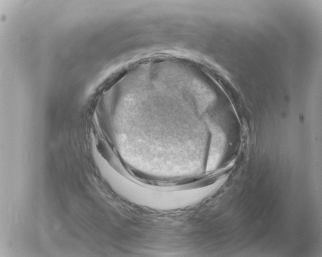 X0000052571496200507291953