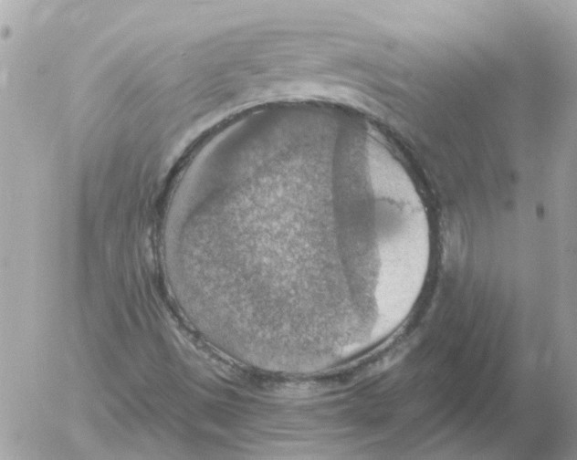 X0000052571497200507291953