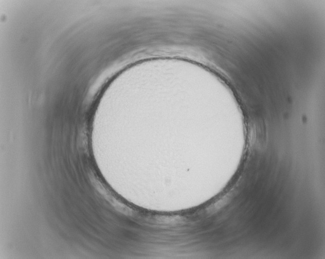 X0000052571498200507291953