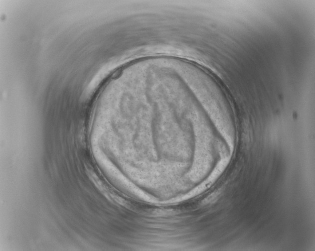 X0000052571499200507291953