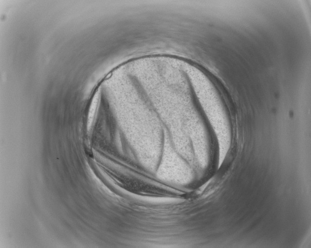 X0000052571500200507291953