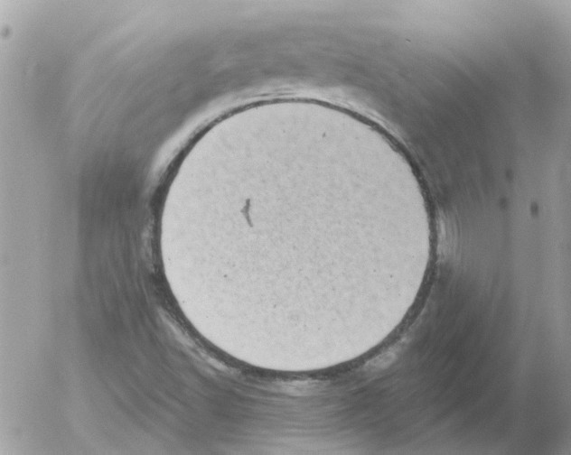 X0000052571502200507291953