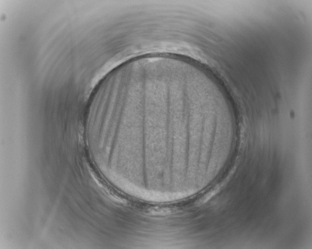 X0000052571505200507291953