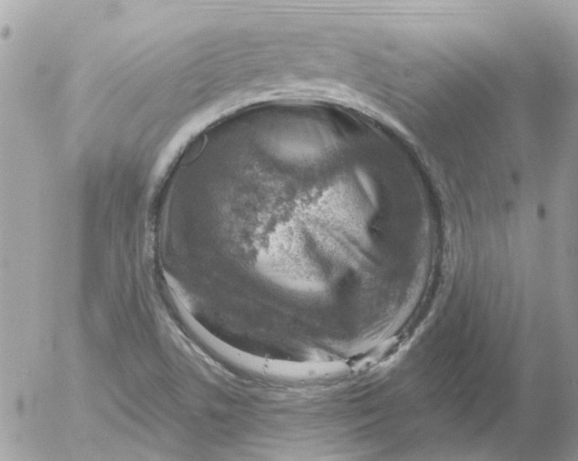 X0000052571506200507291953