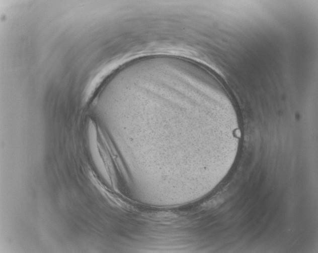 X0000052571507200507291953