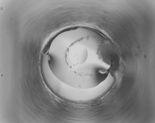 X0000052571508200507291953