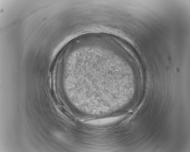 X0000052571509200507291953