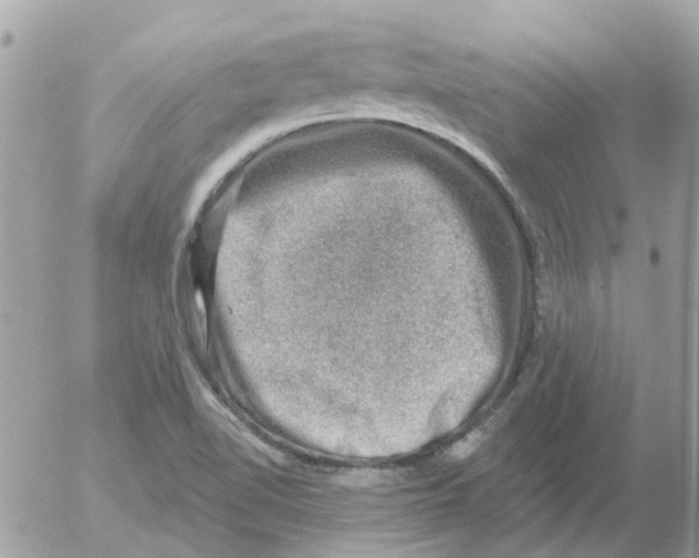 X0000052571510200507291953