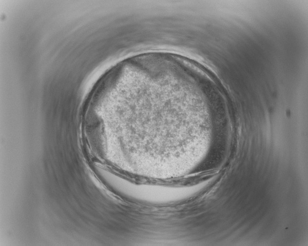 X0000052571511200507291953