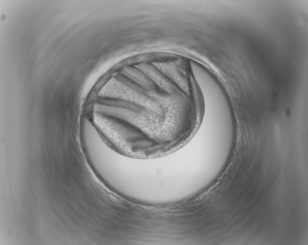 X0000052571512200507291953