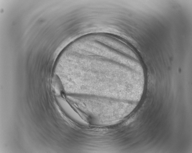 X0000052571513200507291953