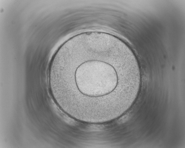 X0000052571514200507291953