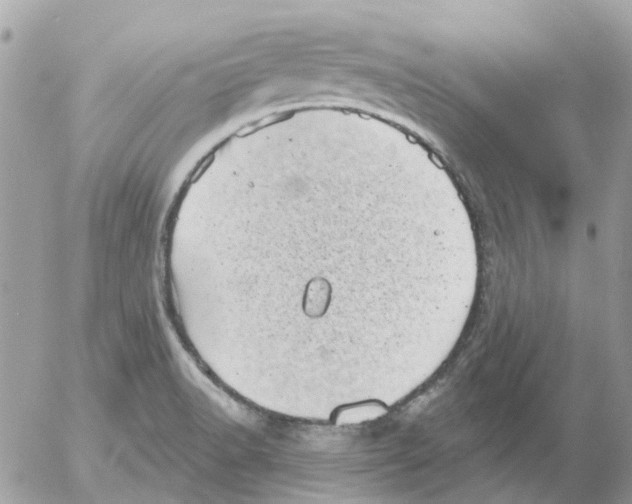 X0000052571518200507291953