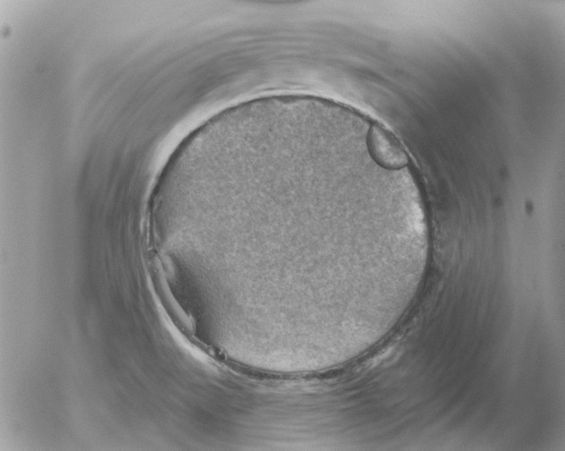 X0000052571519200507291953