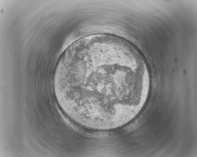 X0000052571521200507291953