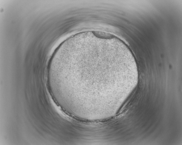 X0000052571523200507291953