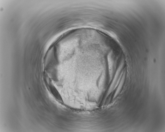 X0000052571524200507291953