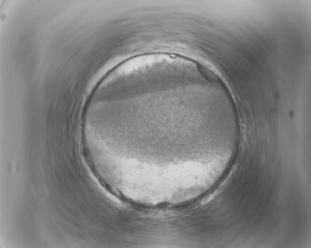 X0000052571525200507291953