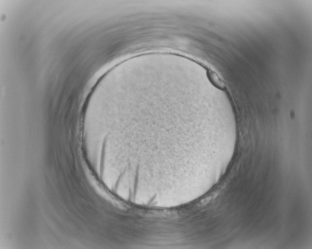 X0000052571526200507291953