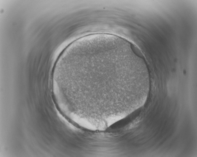 X0000052571527200507291953