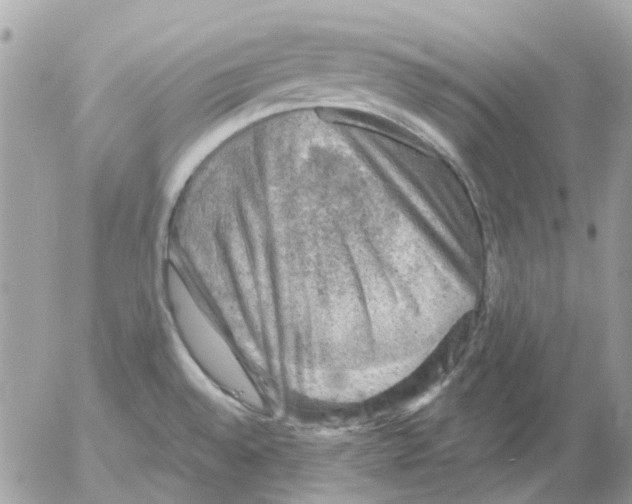 X0000052571528200507291953