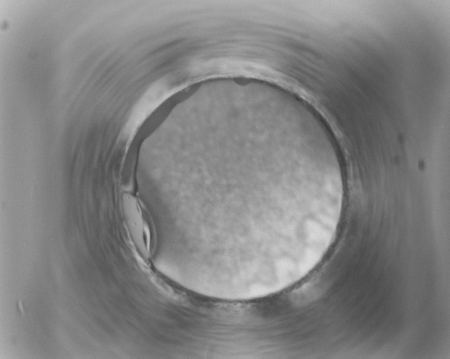 X0000052571529200507291953