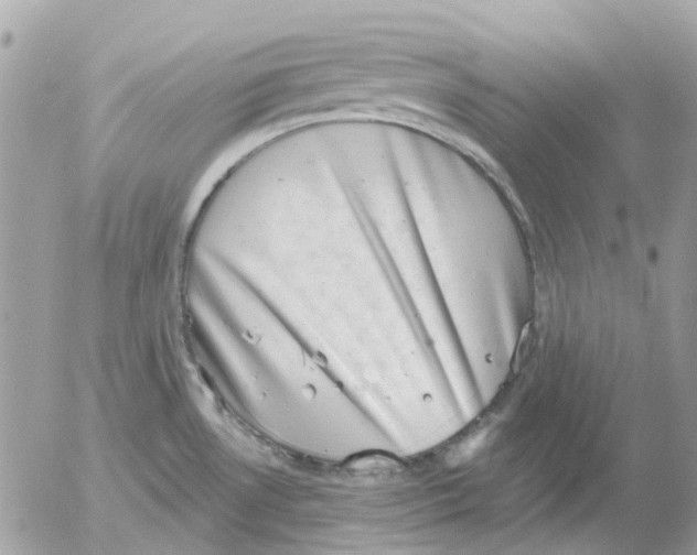 X0000052571530200507291953